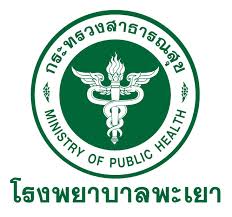 โรงพยาบาลพะเยา รับสมัครลูกจ้างรายวัน จำนวน 2 อัตรา วุฒิ ม.3 – ม.6 ค่าจ้างวันละ 330 บาท สมัครถึงวันที่ 12 กันยายน 2568